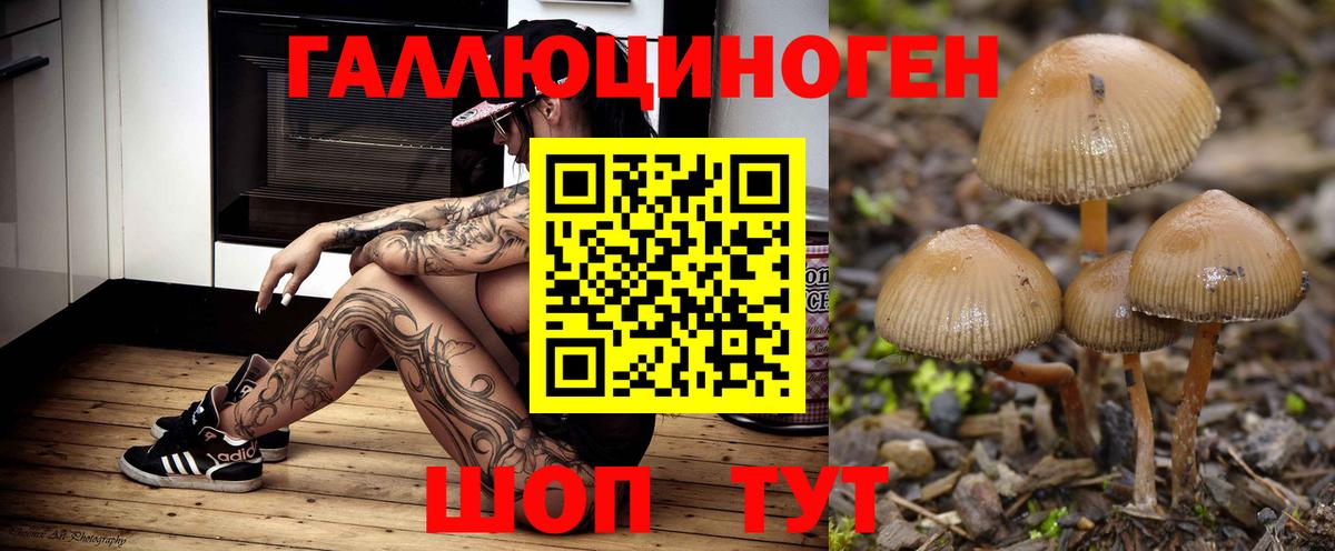 Псилоцибиновые грибы GOLDEN TEACHER Жигулёвск